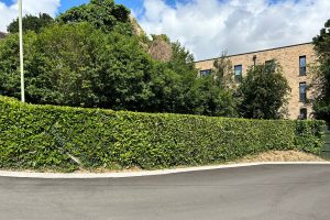 Keeping your business outdoor space tidy