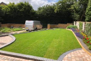 Garden with cut lawn